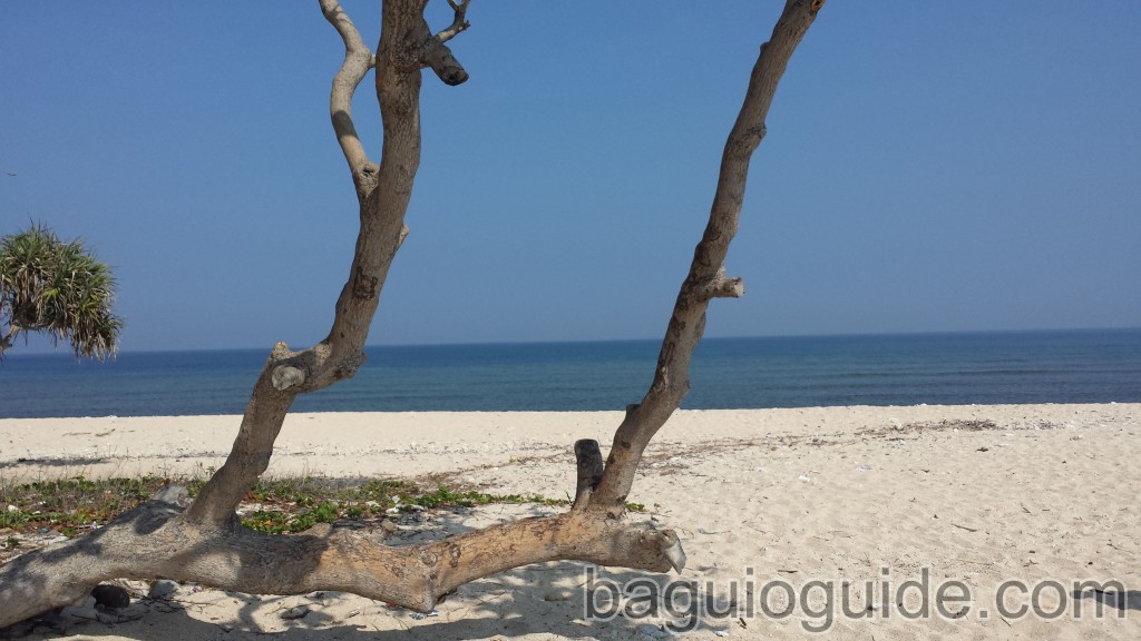 camara island view 1024x576 How to get to Anawangin Cove from Manila